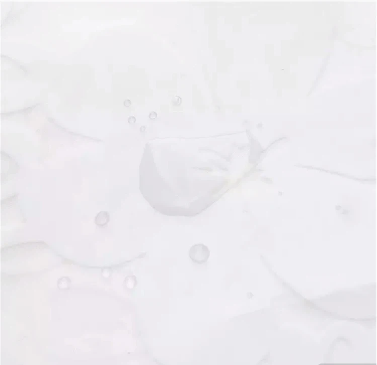 shower curtain14